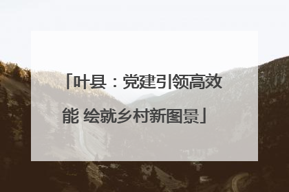 叶县：党建引领高效能 绘就乡村新图景