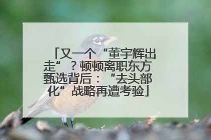 又一个“董宇辉出走”？顿顿离职东方甄选背后：“去头部化”战略再遭考验