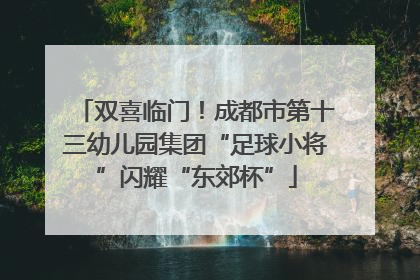 双喜临门！成都市第十三幼儿园集团“足球小将”闪耀“东郊杯”
