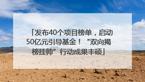 发布40个项目榜单，启动50亿元引导基金！“双向揭榜挂帅”行动成果丰硕