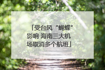 受台风“蝴蝶”影响 海南三大机场取消多个航班