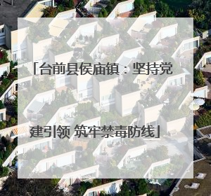 台前县侯庙镇：坚持党建引领 筑牢禁毒防线
