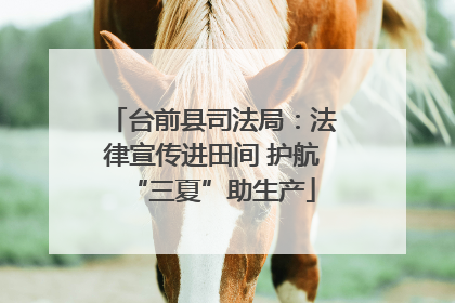 台前县司法局：法律宣传进田间 护航“三夏”助生产