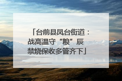 台前县凤台街道：战高温守“粮”辰 禁烧保收多管齐下