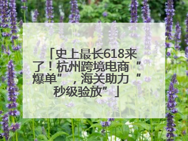 史上最长618来了！杭州跨境电商“爆单”，海关助力“秒级验放”