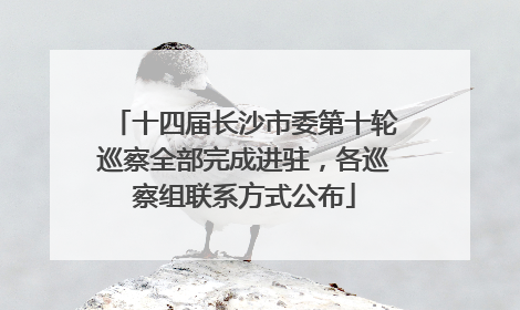 十四届长沙市委第十轮巡察全部完成进驻，各巡察组联系方式公布