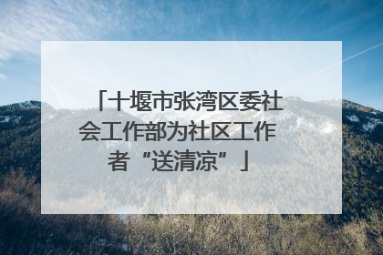 十堰市张湾区委社会工作部为社区工作者“送清凉”