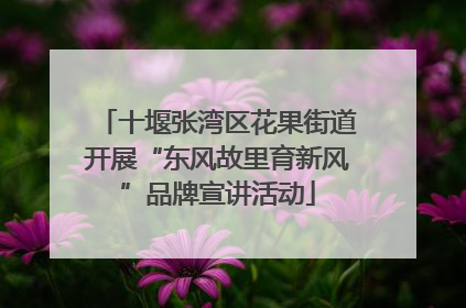 十堰张湾区花果街道开展“东风故里育新风”品牌宣讲活动