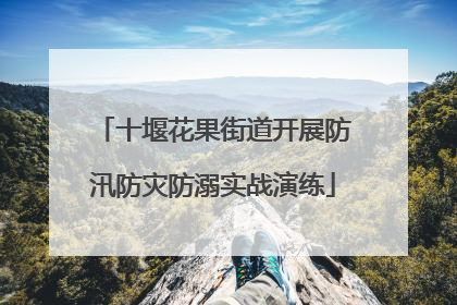 十堰花果街道开展防汛防灾防溺实战演练