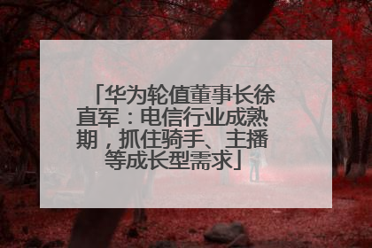 华为轮值董事长徐直军：电信行业成熟期，抓住骑手、主播等成长型需求