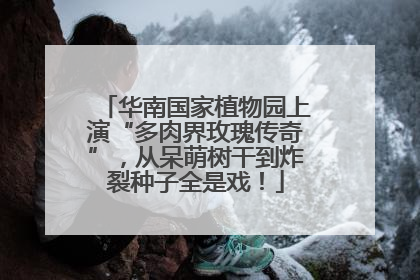 华南国家植物园上演“多肉界玫瑰传奇”，从呆萌树干到炸裂种子全是戏！