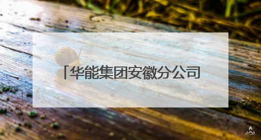 华能集团安徽分公司党委书记马冰武履新华电集团副总经理