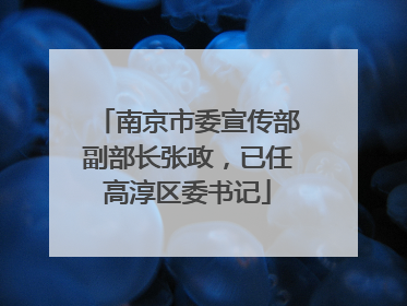 南京市委宣传部副部长张政，已任高淳区委书记