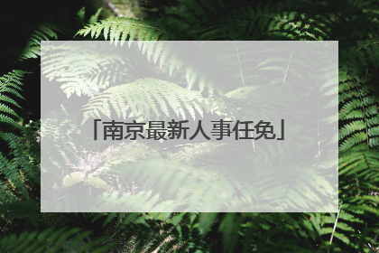 南京最新人事任免