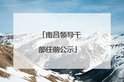 南昌领导干部任前公示