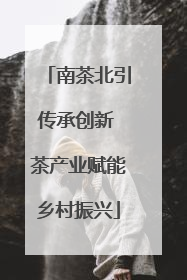 南茶北引传承创新 茶产业赋能乡村振兴