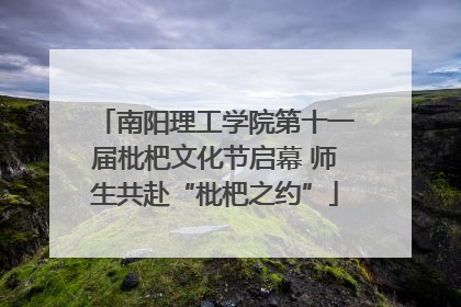 南阳理工学院第十一届枇杷文化节启幕 师生共赴“枇杷之约”