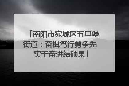 南阳市宛城区五里堡街道：奋楫笃行勇争先 实干奋进结硕果