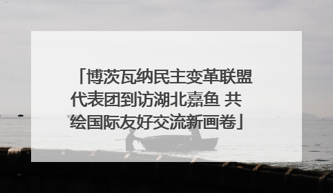 博茨瓦纳民主变革联盟代表团到访湖北嘉鱼 共绘国际友好交流新画卷