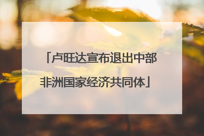 卢旺达宣布退出中部非洲国家经济共同体