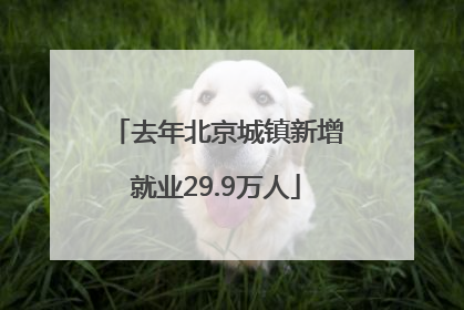 去年北京城镇新增就业29.9万人