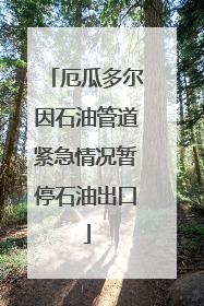 厄瓜多尔因石油管道紧急情况暂停石油出口