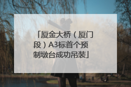 厦金大桥（厦门段）A3标首个预制墩台成功吊装