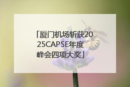 厦门机场斩获2025CAPSE年度峰会四项大奖