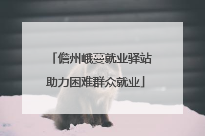 儋州峨蔓就业驿站助力困难群众就业