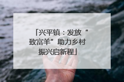 兴平镇：发放“致富羊”助力乡村振兴启新程