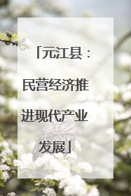 元江县：民营经济推进现代产业发展