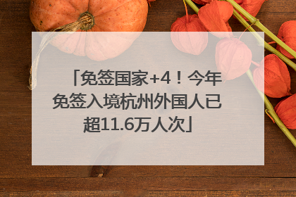 免签国家+4！今年免签入境杭州外国人已超11.6万人次