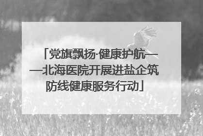 党旗飘扬·健康护航——北海医院开展进盐企筑防线健康服务行动