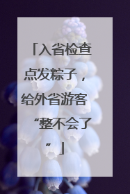 入省检查点发粽子，给外省游客“整不会了”
