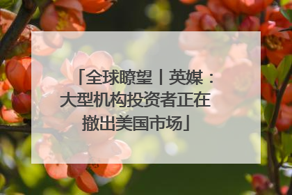 全球瞭望丨英媒：大型机构投资者正在撤出美国市场