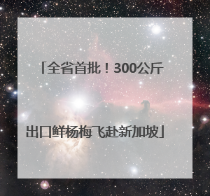 全省首批！300公斤出口鲜杨梅飞赴新加坡