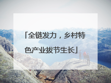 全链发力，乡村特色产业拔节生长