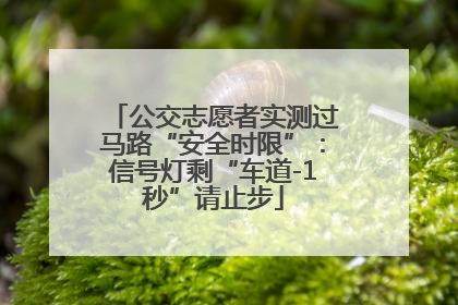 公交志愿者实测过马路“安全时限”：信号灯剩“车道-1秒”请止步