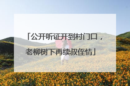 公开听证开到村门口，老柳树下再续叔侄情