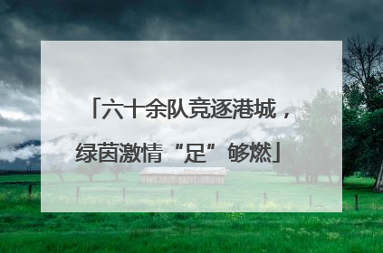 六十余队竞逐港城，绿茵激情“足”够燃