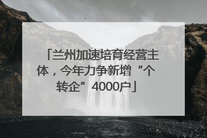 兰州加速培育经营主体，今年力争新增“个转企”4000户