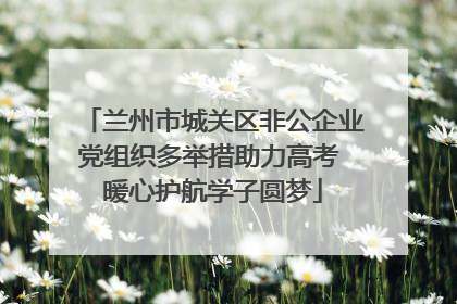 兰州市城关区非公企业党组织多举措助力高考 暖心护航学子圆梦