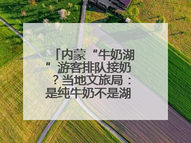 内蒙“牛奶湖”游客排队接奶？当地文旅局：是纯牛奶不是湖水，可放心喝