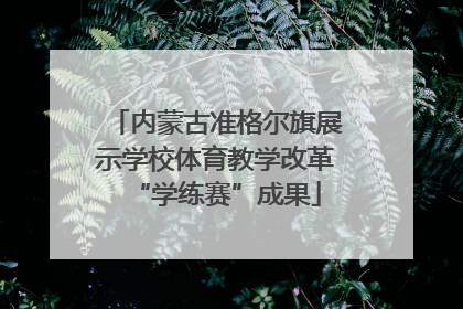 内蒙古准格尔旗展示学校体育教学改革“学练赛”成果