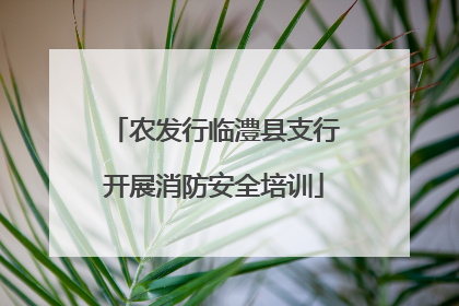 农发行临澧县支行开展消防安全培训