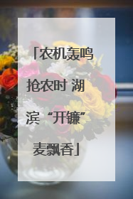农机轰鸣抢农时 湖滨“开镰”麦飘香
