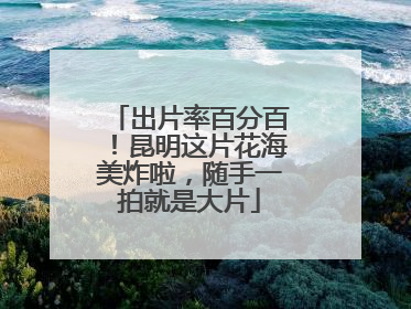 出片率百分百！昆明这片花海美炸啦，随手一拍就是大片