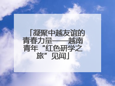 凝聚中越友谊的青春力量——越南青年“红色研学之旅”见闻