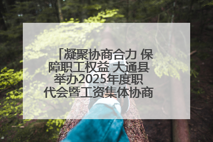 凝聚协商合力 保障职工权益 大通县举办2025年度职代会暨工资集体协商现场观摩交流活动
