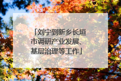 刘宁到新乡长垣市调研产业发展、基层治理等工作
